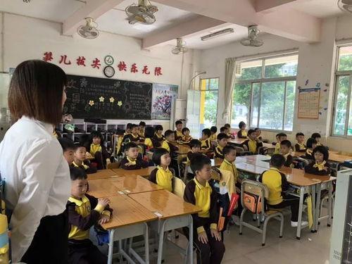 重庆小学爆料事件最新,揭开校园安全与管理的隐秘面纱  第2张